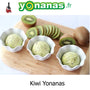 "Crème glacée" saine Kiwi Yonanas